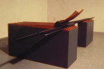 Janets001.jpg