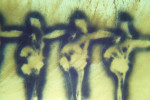 Painting004.jpg