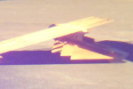 VanDuzen006.jpg